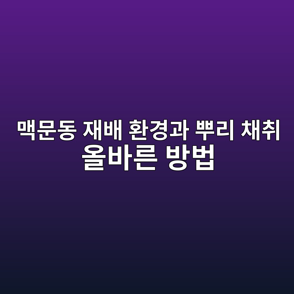 eba7a5ebacb8eb8f99 ec9eacebb0b0 ed9998eab2bdeab3bc ebbf8ceba6ac ecb184ecb7a8 ec98acebb094eba5b8 ebb0a9ebb295 1778146564
