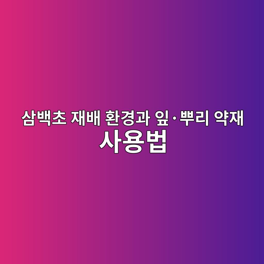 ec82bcebb0b1ecb488 ec9eacebb0b0 ed9998eab2bdeab3bc ec9e8ec2b7ebbf8ceba6ac ec95bdec9eac ec82acec9aa9ebb295 1778339282