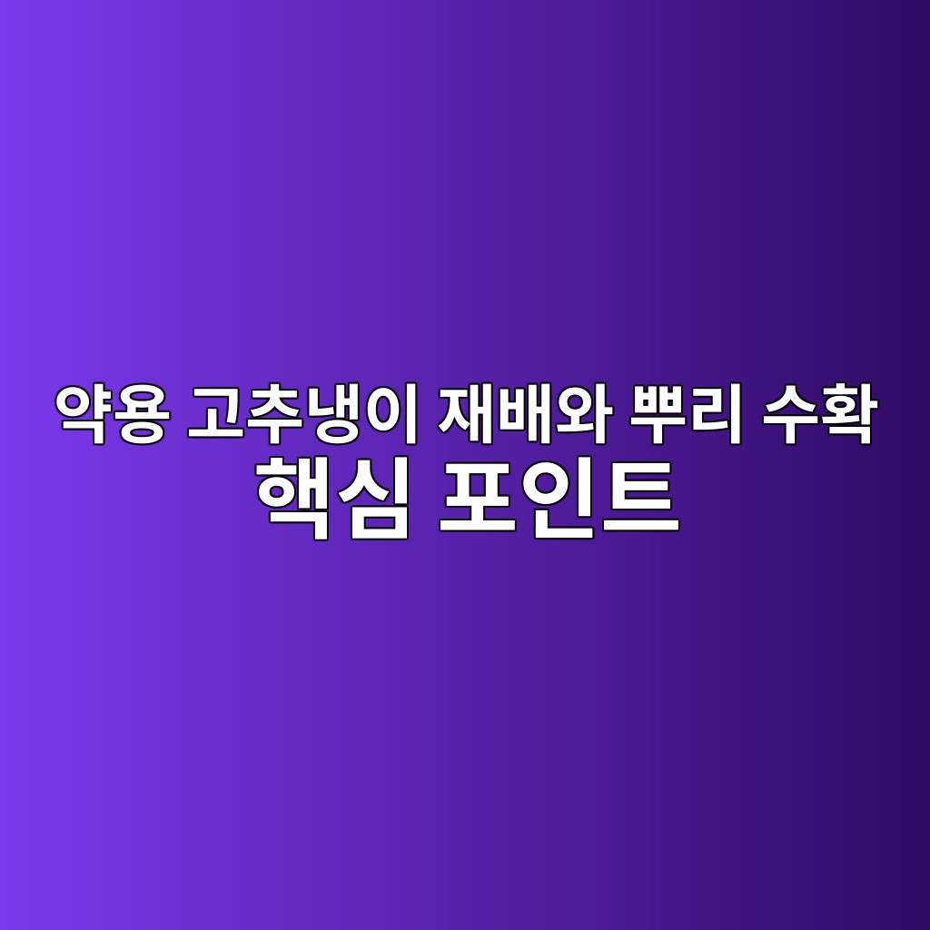 ec95bdec9aa9 eab3a0ecb694eb8389ec9db4 ec9eacebb0b0ec9980 ebbf8ceba6ac ec8898ed9995 ed95b5ec8bac ed8facec9db8ed8ab8 1778339628