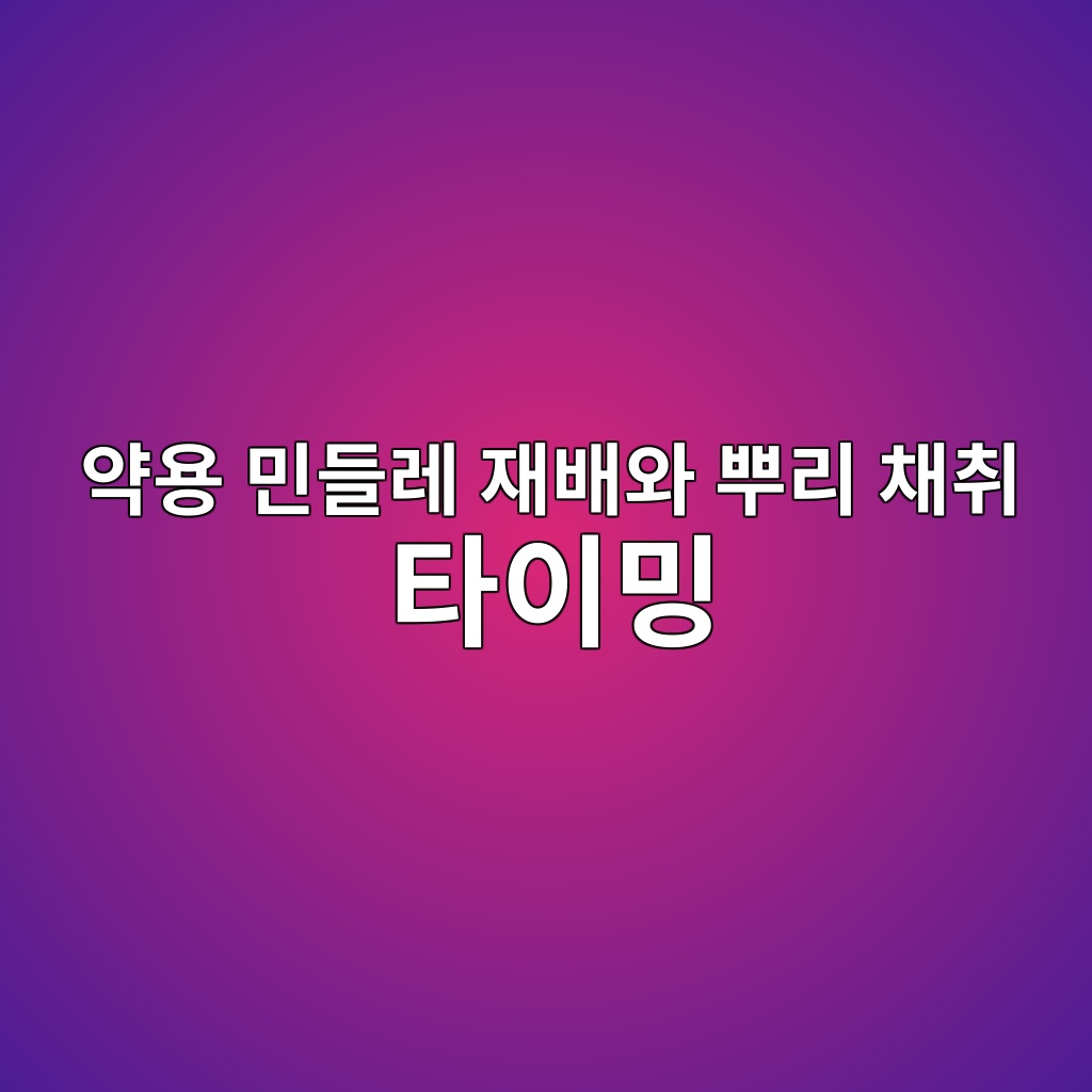 ec95bdec9aa9 ebafbceb93a4eba088 ec9eacebb0b0ec9980 ebbf8ceba6ac ecb184ecb7a8 ed8380ec9db4ebb08d 1778338659