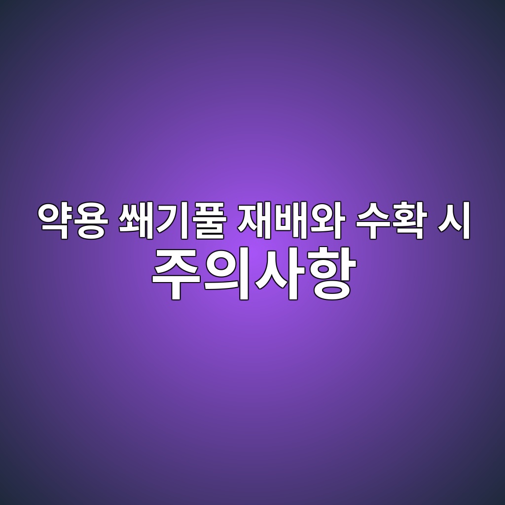 ec95bdec9aa9 ec9090eab8b0ed9280 ec9eacebb0b0ec9980 ec8898ed9995 ec8b9c eca3bcec9d98ec82aced95ad 1778340525