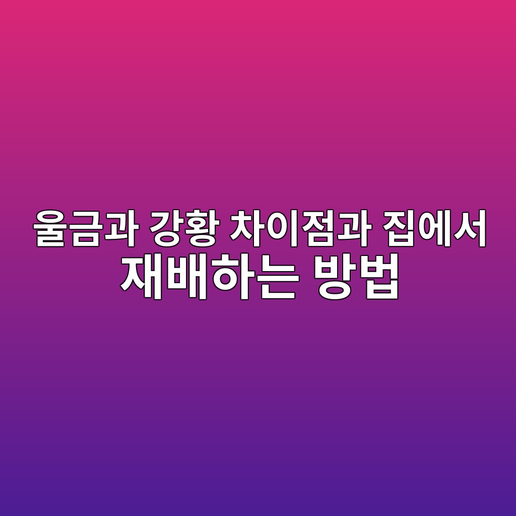 ec9ab8eab888eab3bc eab095ed99a9 ecb0a8ec9db4eca090eab3bc eca791ec9790ec849c ec9eacebb0b0ed9598eb8a94 ebb0a9ebb295 1778338757