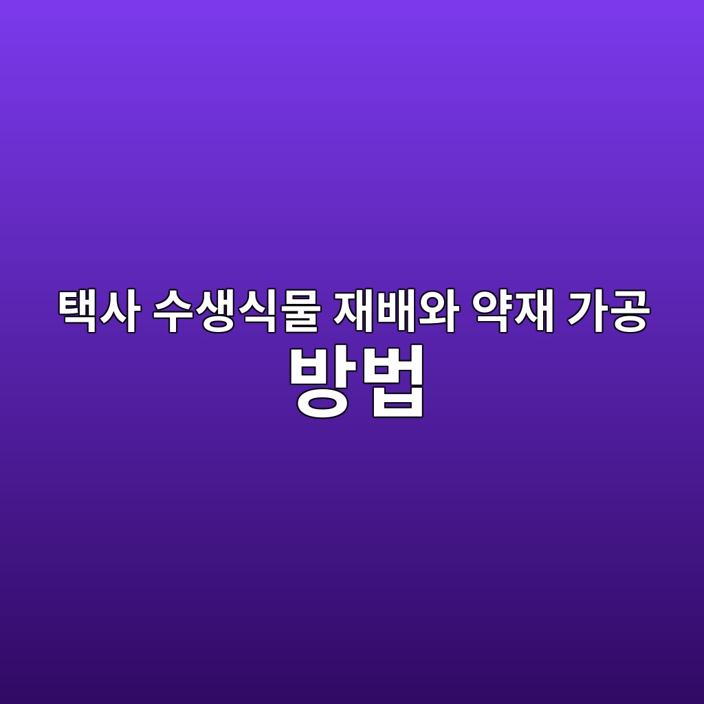 ed839dec82ac ec8898ec839dec8b9debacbc ec9eacebb0b0ec9980 ec95bdec9eac eab080eab3b5 ebb0a9ebb295 1778338899