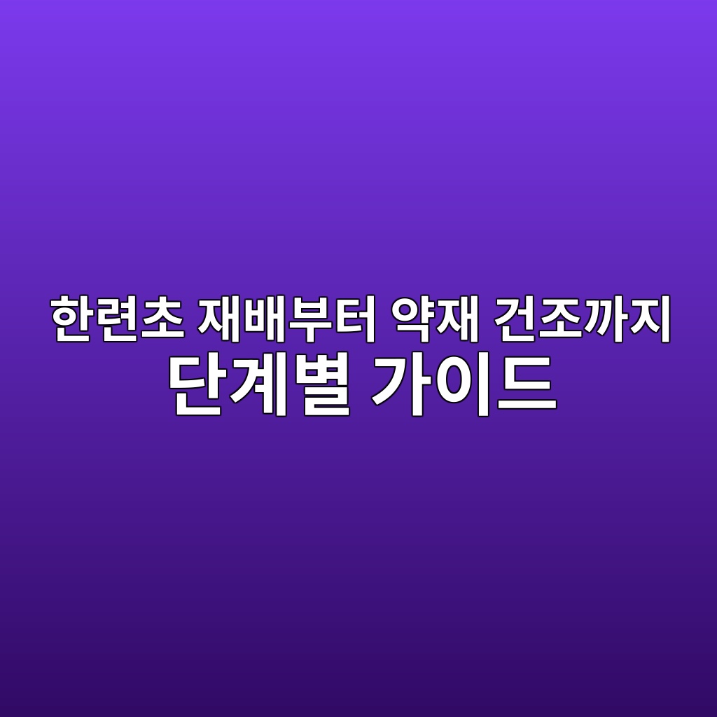 ed959ceba0a8ecb488 ec9eacebb0b0ebb680ed84b0 ec95bdec9eac eab1b4eca1b0eab98ceca780 eb8ba8eab384ebb384 eab080ec9db4eb939c 1778146636